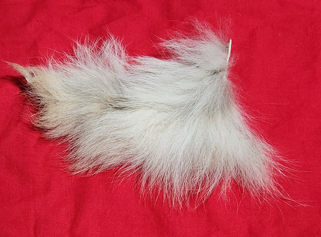 Mountain Lion Belly Fur - MTL1046