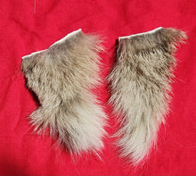 Load image into Gallery viewer, Mountain Lion Fur Pieces - Underside of Neck - MTL1055
