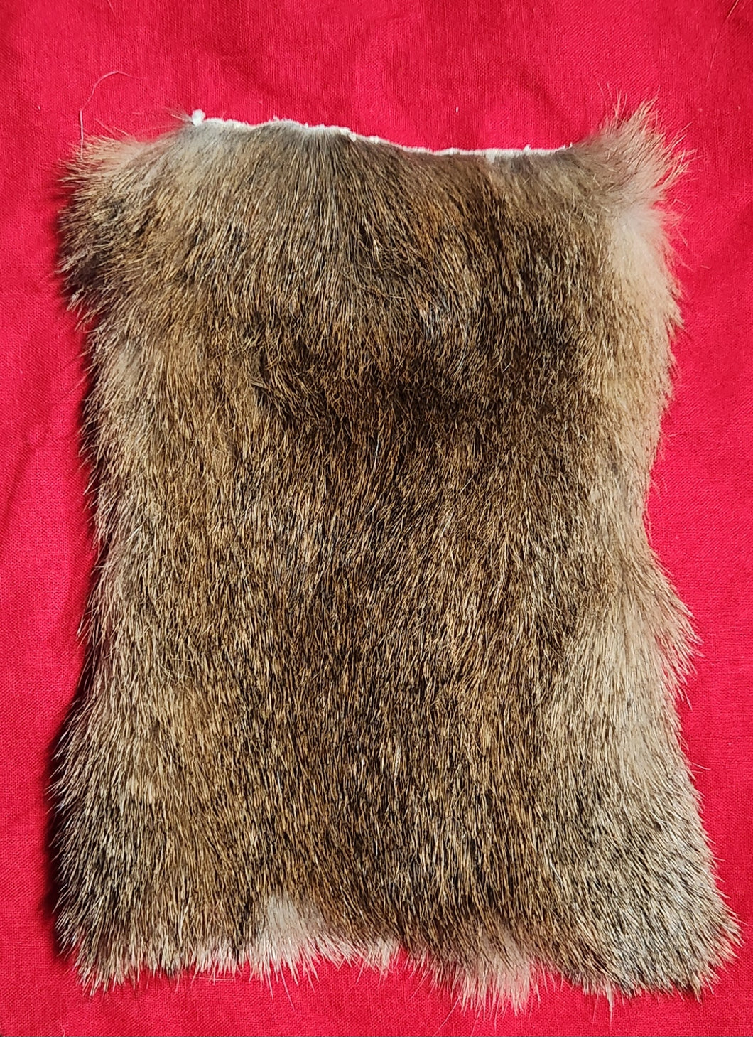 Cougar Fur - Neck Piece - MTL1056