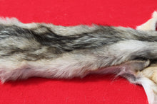 Load image into Gallery viewer, North Idaho Wolf - Taxidermy Quality - WLF1019
