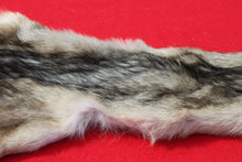 Load image into Gallery viewer, North Idaho Wolf - Taxidermy Quality - WLF1019
