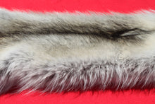 Load image into Gallery viewer, Canadian Arctic Alpha Male Wolf - Taxidermy Quality - WLF1026
