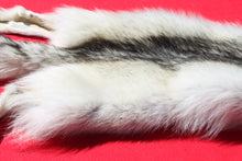 Load image into Gallery viewer, Canadian Arctic Wolf - Has FEET AND CLAWS - WLF1029
