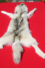 Load image into Gallery viewer, Canadian Arctic Wolf - Has FEET AND CLAWS - WLF1032
