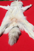 Load image into Gallery viewer, Canadian Arctic Wolf - Has FEET AND CLAWS - WLF1032
