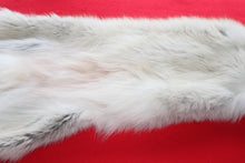 Load image into Gallery viewer, Huge Canadian Arctic Wolf - Taxidermy Quality - WLF1037
