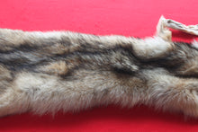 Load image into Gallery viewer, Eastern Canada COYWOLF - Taxidermy Quality - WLF1036
