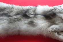Load image into Gallery viewer, Canadian Arctic Wolf - Taxidermy Quality - WLF1038
