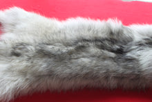 Load image into Gallery viewer, Canadian Arctic Wolf - Taxidermy Quality - WLF1039
