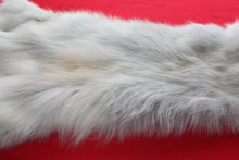 Load image into Gallery viewer, Canadian Arctic Wolf - Taxidermy Quality - WLF1039
