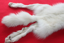 Load image into Gallery viewer, Yukon Wolf - HAS FEET AND CLAWS - WLF1040
