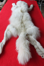 Load image into Gallery viewer, Yukon Wolf - HAS FEET AND CLAWS - WLF1040
