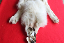 Load image into Gallery viewer, Yukon Wolf - HAS FEET AND CLAWS - WLF1040

