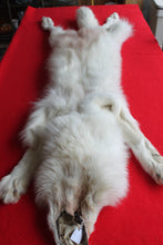 Load image into Gallery viewer, Yukon Wolf - HAS FEET AND CLAWS - WLF1040
