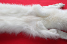 Load image into Gallery viewer, Yukon Wolf - HAS FEET AND CLAWS - WLF1040
