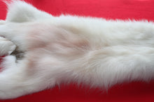 Load image into Gallery viewer, Yukon Wolf - HAS FEET AND CLAWS - WLF1040
