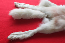 Load image into Gallery viewer, Yukon Wolf - HAS FEET AND CLAWS - WLF1040
