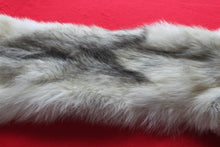 Load image into Gallery viewer, Canadian Arctic Wolf - Taxidermy Quality - WLF1041
