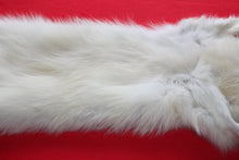 Load image into Gallery viewer, Canadian Arctic Wolf - Taxidermy Quality - WLF1041
