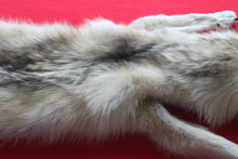 Load image into Gallery viewer, Canadian Arctic Wolf - Taxidermy Quality - WLF1042

