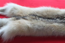 Load image into Gallery viewer, Canadian Arctic Wolf - Taxidermy Quality - WLF1042

