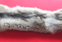 Load image into Gallery viewer, Idaho Wolf - Taxidermy Quality - WLF1043
