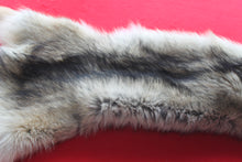 Load image into Gallery viewer, Idaho Wolf - Taxidermy Quality - WLF1043
