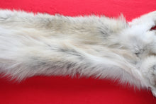 Load image into Gallery viewer, Idaho Wolf - Taxidermy Quality - WLF1043
