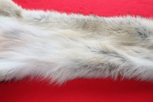Load image into Gallery viewer, Idaho Wolf - Taxidermy Quality - WLF1043
