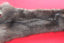 Load image into Gallery viewer, Idaho BLACK Wolf - Taxidermy Quality - WLF1044
