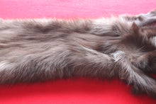 Load image into Gallery viewer, Idaho BLACK Wolf - Taxidermy Quality - WLF1044
