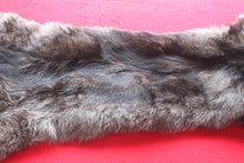 Load image into Gallery viewer, Idaho BLACK Wolf - Taxidermy Quality - WLF1045
