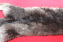 Load image into Gallery viewer, Huge Canadian Arctic BLACK Wolf - Taxidermy Quality - WLF1046
