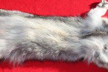 Load image into Gallery viewer, Eastern Canada COYWOLF - Taxidermy Quality - WLF1047
