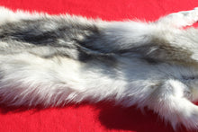 Load image into Gallery viewer, Canadian Arctic Wolf - Taxidermy Quality - WLF1049
