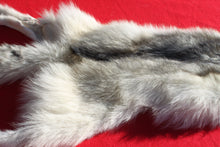 Load image into Gallery viewer, Canadian Arctic Wolf - Taxidermy Quality - WLF1049
