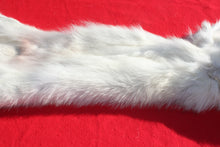Load image into Gallery viewer, Canadian Arctic Wolf - Taxidermy Quality - WLF1049
