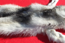 Load image into Gallery viewer, Canadian Arctic Wolf - Taxidermy Quality - WLF1050
