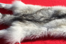 Load image into Gallery viewer, Canadian Arctic Wolf - Taxidermy Quality - WLF1050
