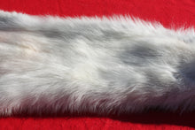 Load image into Gallery viewer, Canadian Arctic Wolf - Taxidermy Quality - WLF1050
