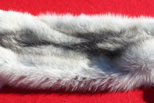 Load image into Gallery viewer, Canadian Arctic Wolf - Taxidermy Quality - WLF1052
