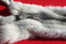 Load image into Gallery viewer, Canadian Arctic Wolf - Taxidermy Quality - WLF1052

