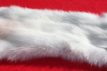 Load image into Gallery viewer, Canadian Arctic Wolf - Taxidermy Quality - WLF1052
