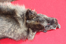 Load image into Gallery viewer, BLACK Canadian Wolf - HAS FEET AND CLAWS - WLF1053
