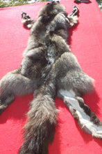 Load image into Gallery viewer, BLACK Canadian Wolf - HAS FEET AND CLAWS - WLF1053
