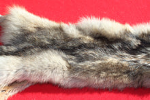 Load image into Gallery viewer, Canadian Wolf - HAS FEET AND CLAWS - WLF1057
