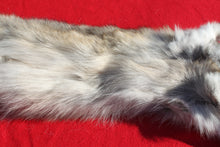Load image into Gallery viewer, Canadian Wolf - HAS FEET AND CLAWS - WLF1057
