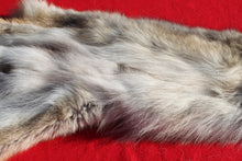 Load image into Gallery viewer, Canadian Wolf - HAS FEET AND CLAWS - WLF1057
