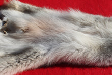 Load image into Gallery viewer, Canadian Wolf - Taxidermy Quality - WLF1059

