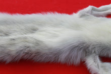 Load image into Gallery viewer, Canadian Arctic Wolf - HAS FEET AND CLAWS -WLF1060
